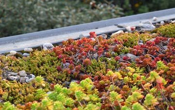 the cost of Old Felixstowe green roof installation