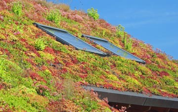 Old Felixstowe living roof systems