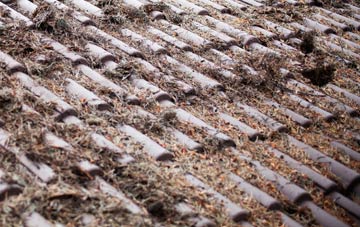 Old Felixstowe roof cleaning companies