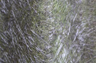 Old Felixstowe fibreglass roof work